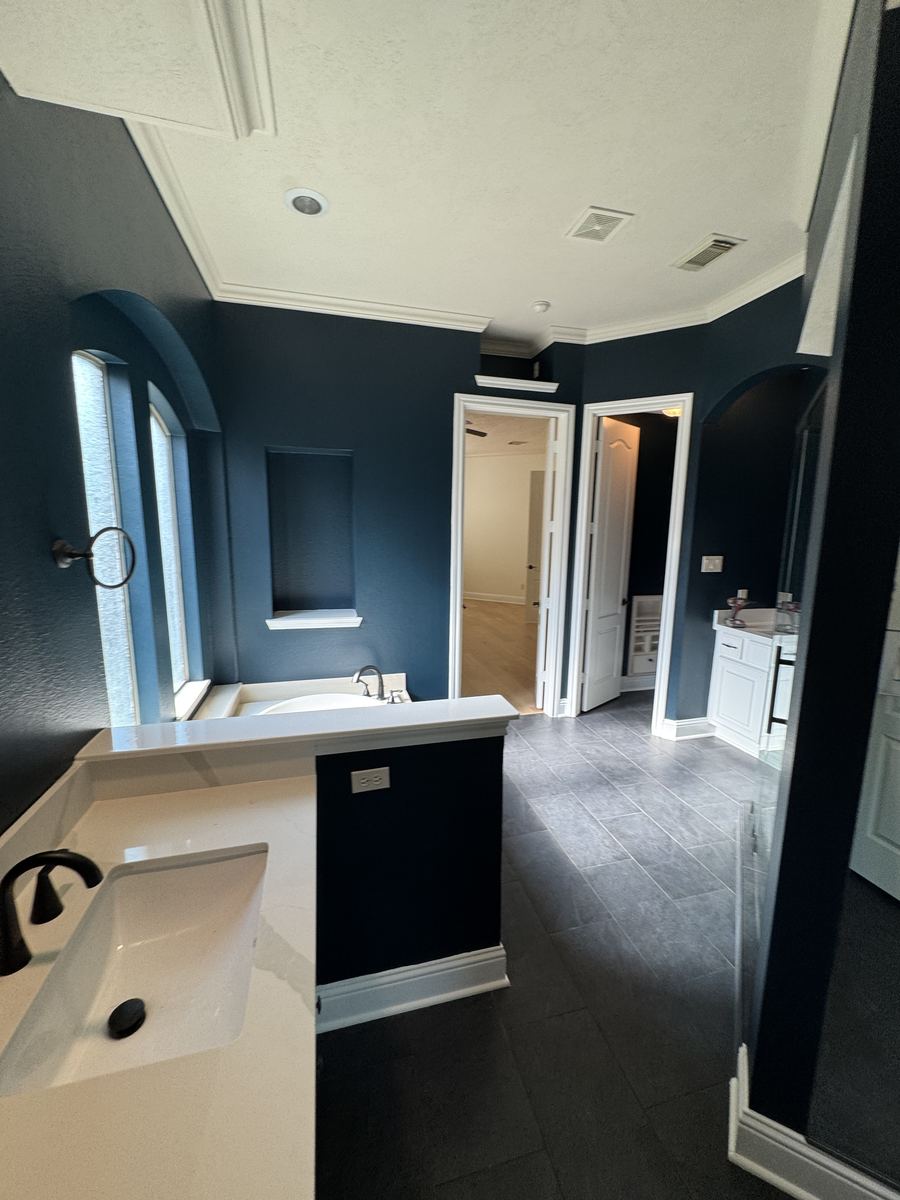 Bathroom Vanity and Wall Finish Update after work